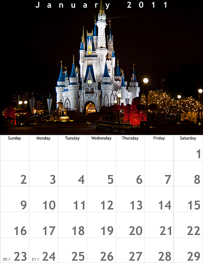 January 2011 8.5x11 Calendar