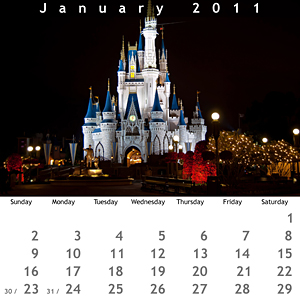 January 2011 Jewel Case Calendar