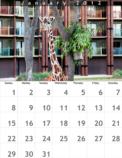 January 2012 8.5x11 Calendar