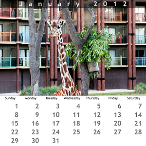 January 2012 Jewel Case Calendar