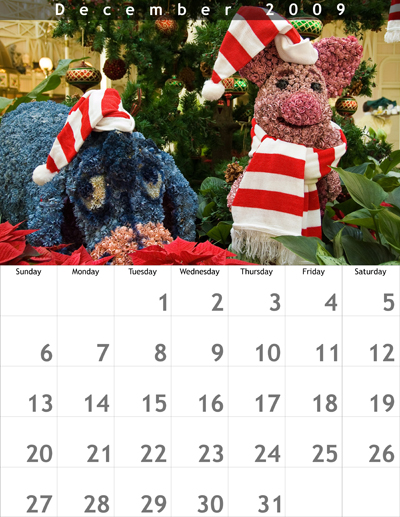 December 2009 8.5x11 Calendar