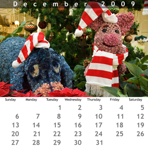 December 2009 Jewel Case Calendar