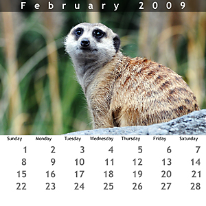February 2009 Jewel Case Calendar