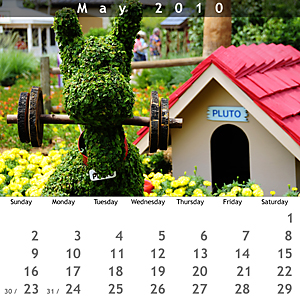 May 2010 Jewel Case Calendar