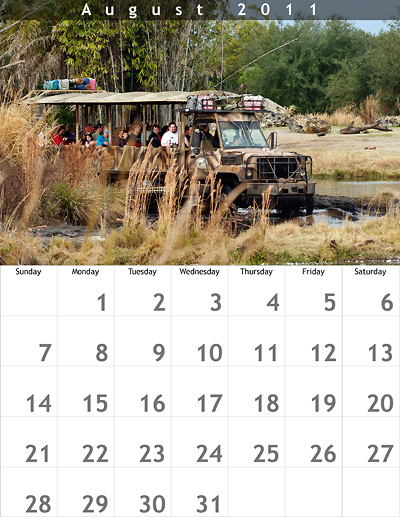 August 2011 8.5x11 Calendar