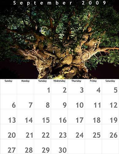 September 2009 8.5x11 Calendar