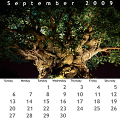September 2009 Jewel Case Calendar