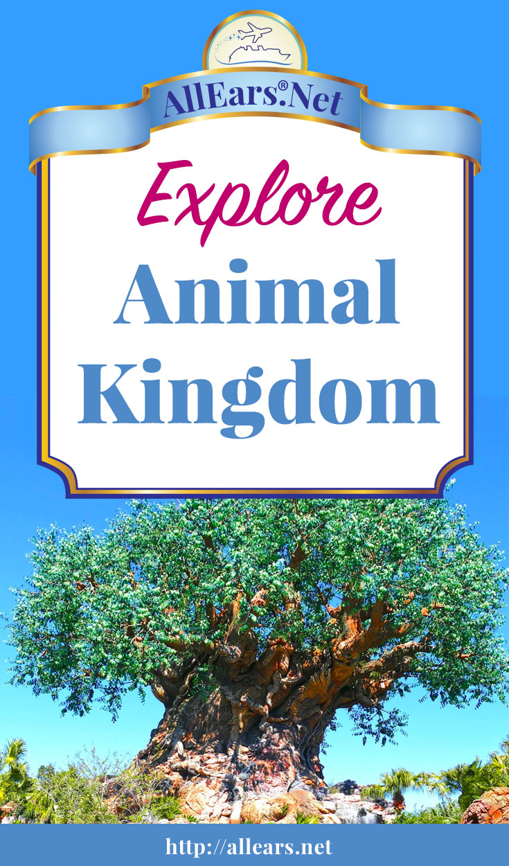 Your Guide to Disney's Animal Kingdom Park at Walt Disney World | AllEars.Net | AllEars.net